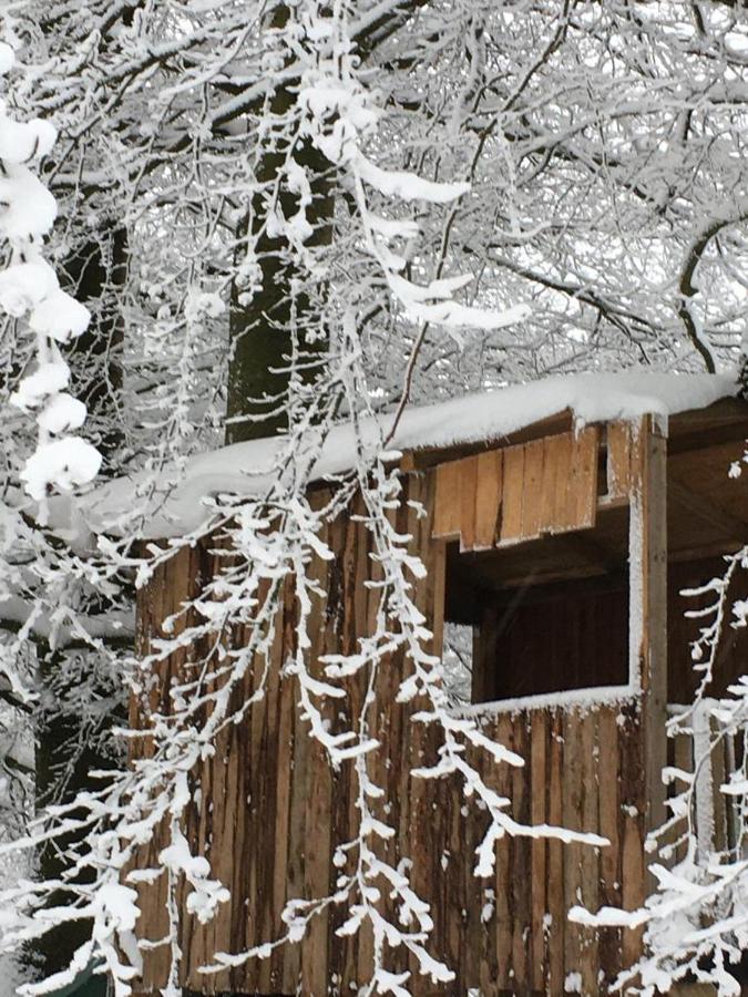 Ferienhaus Janne Monschau Esterno foto